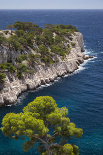 Rocky point in the Calanques near Cassis, Bouches-du-Rhone, ... von Danita Delimont