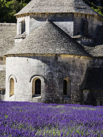 Seananque Abbey with Lavender in full bloom by Danita Delimont