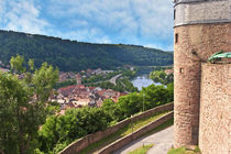 Wertheim, Germany Wertheim Castle overlooks the Main river valley von Danita Delimont