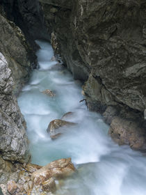 Hoellentalklamm gorge near Garmisch-Partenkirchen,Germany by Danita Delimont