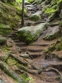 National Park Saxon Switzerland during spring by Danita Delimont