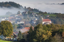 Germany, Baden-Wurttemburg, Black Forest, Horben, town view ... von Danita Delimont