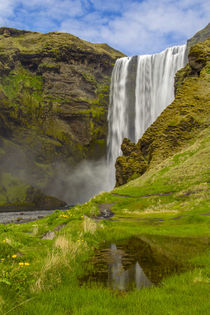 Europe, Iceland, Skogafoss von Danita Delimont