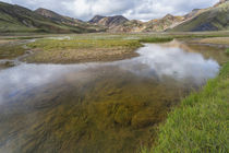 Stream running through a meadow in Landmannalaugar, Iceland von Danita Delimont