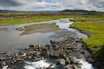 South Region. Thingvellir. Stream running through the park. by Danita Delimont
