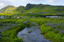 South. Vik i Myrdal. Stream running down to the beach. von Danita Delimont