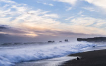 Coast of the North Atlantic near Vik y Myrdal, Iceland von Danita Delimont