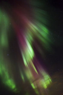 Northern Lights over the south of Iceland von Danita Delimont