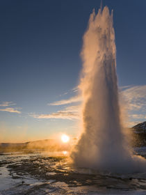 Geothermal area in the Haukadalur, Iceland von Danita Delimont