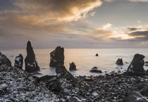 North Atllantic coast at Reykjanesviti, Iceland by Danita Delimont