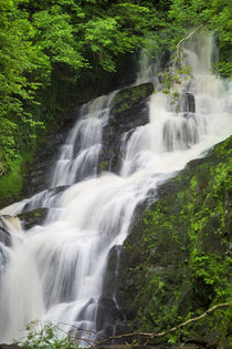Torc Waterfalls, Killarney National Park, County Kerry, Repu... by Danita Delimont