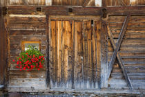 Rustic Barn Door and flowers, Santa Maddalena, Val di Funes,... by Danita Delimont