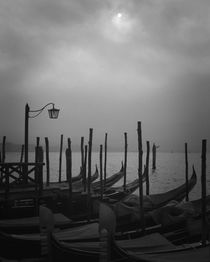 Europe, Italy, Venice by Danita Delimont