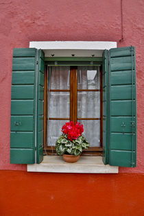 Shuttered windows Burano, Italy by Danita Delimont