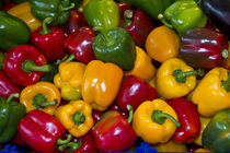 Peppers in Fish and Vegetable Market Venice, Italy by Danita Delimont