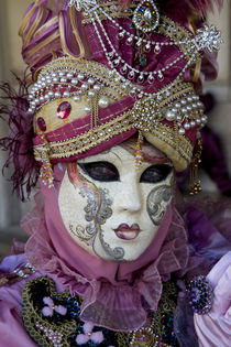 Venice at Carnival Time by Danita Delimont