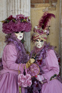 Venice at Carnival Time by Danita Delimont