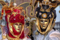 Venice at Carnival Time by Danita Delimont