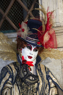 Venice at Carnival Time by Danita Delimont