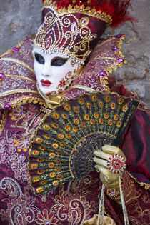 Venice at Carnival Time by Danita Delimont