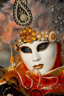 Venice at Carnival Time von Danita Delimont