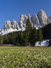 Geisler mountain range, South Tyrol,Italy by Danita Delimont