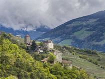 Tirol Castle,South Tyrol, Italy von Danita Delimont