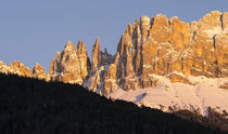 Rosengarten or Catinaccio range in the dolomites, Italy by Danita Delimont