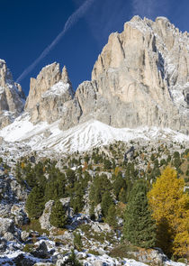 The Dolomites of the Groeden Valley in South Tyrol, Italy by Danita Delimont