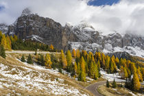 Groedner Joch mountain road, Italy von Danita Delimont