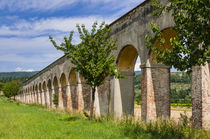 Vasari aqueduct, Arezzo, Tuscany, Italy by Danita Delimont