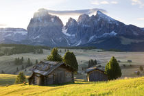 Mountain cabins, South Tyrol, Bolzano district, Alpe di Siusi, S von Danita Delimont