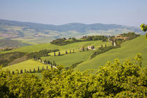 Europe, Italy, Tuscany von Danita Delimont