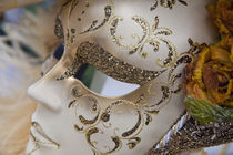 Canival Masks von Danita Delimont