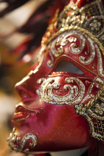 Canival Masks von Danita Delimont