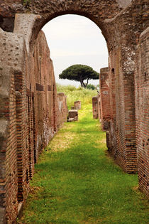 Ancient Roman Arch Walls Street Ostia Antica Rome Italy by Danita Delimont