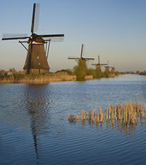 Kinderdijk Windmills, Holland von Danita Delimont