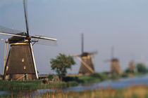 Netherlands, South Holland, Kinderdijk von Danita Delimont