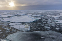 Norway, Svalbard, Spitsbergen von Danita Delimont