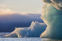 Norway, Svalbard, Kvitoya von Danita Delimont