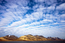 Arctic, Svalbard, Isfjorden von Danita Delimont