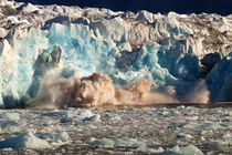 Arctic, Svalbard von Danita Delimont