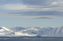 Norway, Svalbard Archipelago, Spitsbergen, Woodfjorden by Danita Delimont