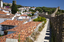 Europe, Portugal, Leiria, Obidos by Danita Delimont