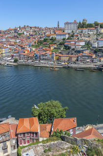 Europe, Portugal, Oporto, Douro River von Danita Delimont