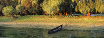 The channels of the Danube Delta, romania von Danita Delimont
