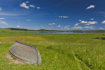 Russia, Pskovskaya Oblast, Pushkinskie Gory, landscape at Mi... von Danita Delimont