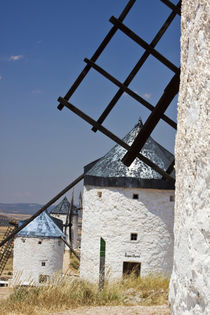 Europe, Spain, Castile-La Mancha Region, Toledo Province, Consuegra by Danita Delimont