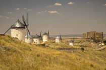 Europe, Spain, Castile-La Mancha Region, Toledo Province, Consuegra von Danita Delimont