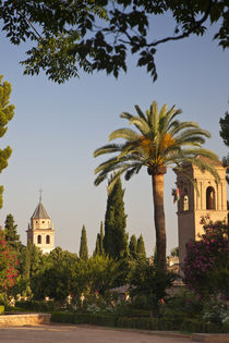 Europe, Spain, Granada, Alhambra by Danita Delimont